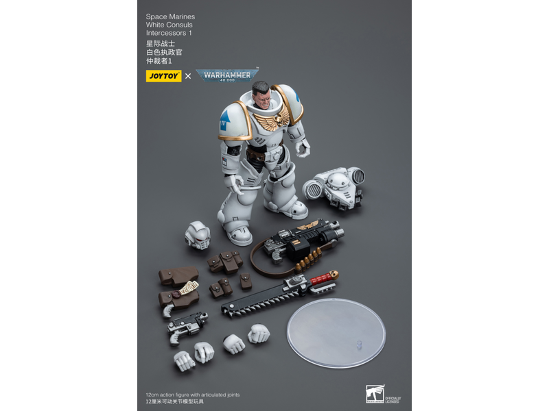 Joy Toy White Consuls Intercessors 1 Space Marines Joy Toy