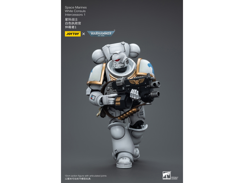 Joy Toy White Consuls Intercessors 1 Space Marines Joy Toy