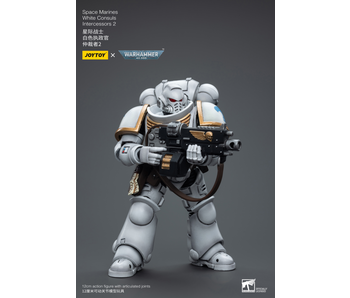White Consuls Intercessors 2 Space Marines Joy Toy