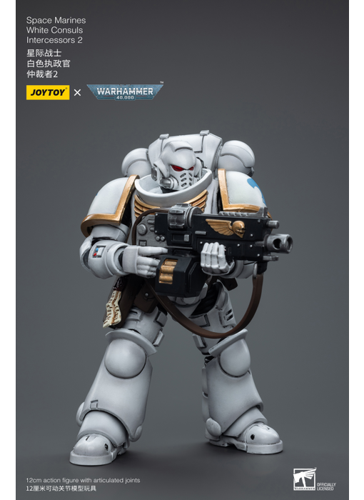 White Consuls Intercessors 2 Space Marines Joy Toy
