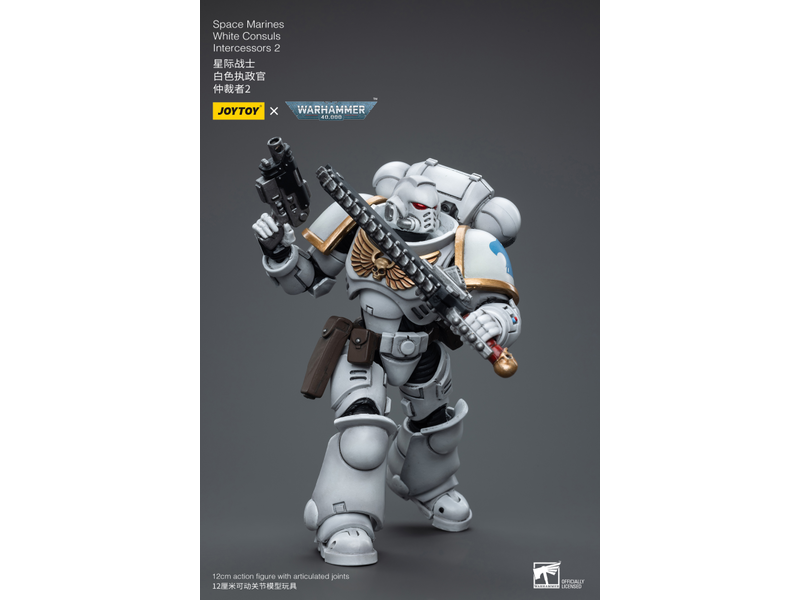Joy Toy White Consuls Intercessors 2 Space Marines Joy Toy