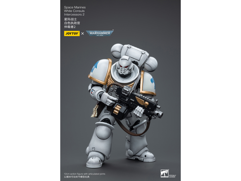 Joy Toy White Consuls Intercessors 2 Space Marines Joy Toy