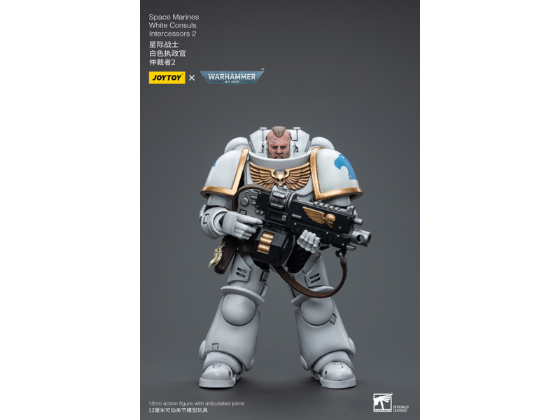 Joy Toy White Consuls Intercessors 2 Space Marines Joy Toy