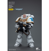 Joy Toy White Consuls Intercessors 2 Space Marines Joy Toy