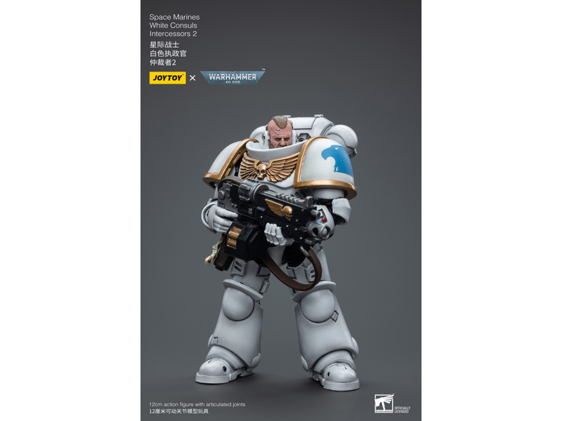 Joy Toy White Consuls Intercessors 2 Space Marines Joy Toy