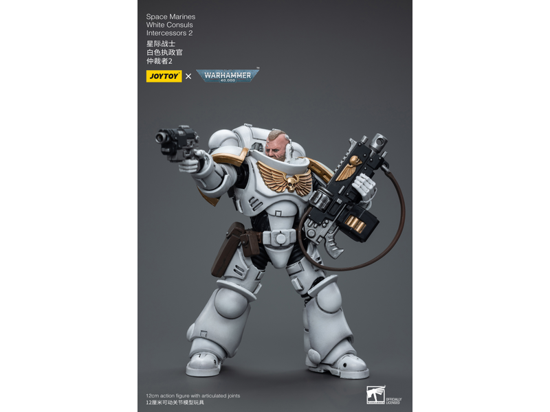 Joy Toy White Consuls Intercessors 2 Space Marines Joy Toy