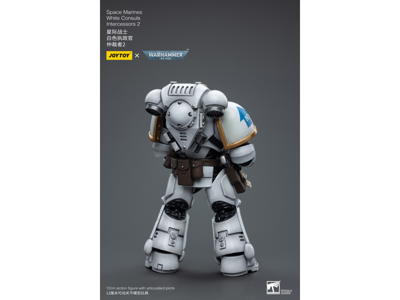 Joy Toy White Consuls Intercessors 2 Space Marines Joy Toy