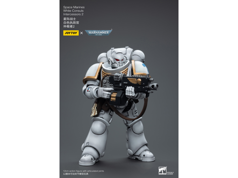 Joy Toy White Consuls Intercessors 2 Space Marines Joy Toy