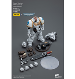 Joy Toy White Consuls Intercessors 2 Space Marines Joy Toy