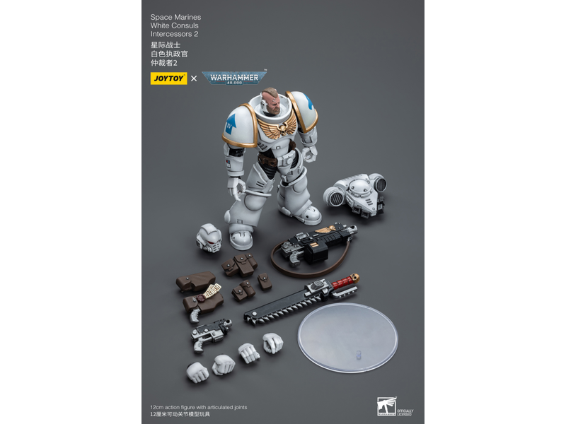 Joy Toy White Consuls Intercessors 2 Space Marines Joy Toy
