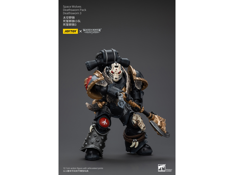 Joy Toy Deathsworn Pack Deathsworn 3 Space Wolves Joy Toy