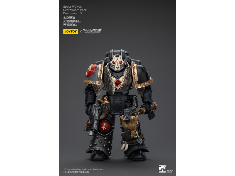 Joy Toy Deathsworn Pack Deathsworn 3 Space Wolves Joy Toy