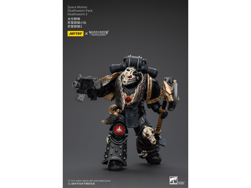Joy Toy Deathsworn Pack Deathsworn 3 Space Wolves Joy Toy