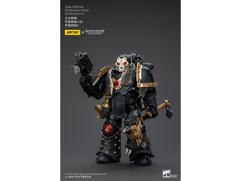 Joy Toy Deathsworn Pack Deathsworn 3 Space Wolves Joy Toy