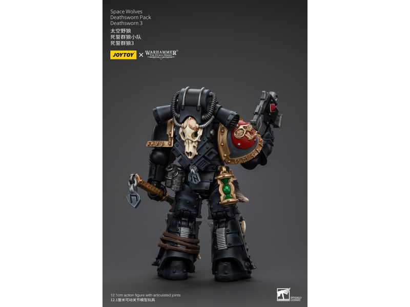 Joy Toy Deathsworn Pack Deathsworn 3 Space Wolves Joy Toy