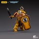 Veteran Brother Thracius Imperial Fists Joy Toy