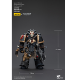 Joy Toy Deathsworn Pack Deathsworn 5 Space Wolves Joy Toy
