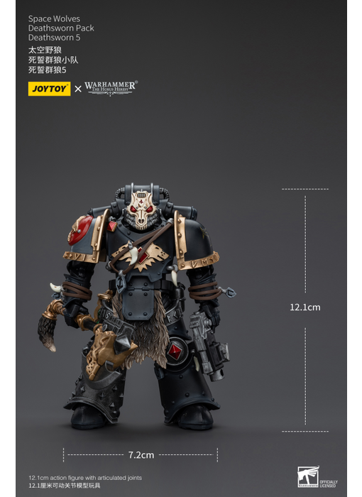 Deathsworn Pack Deathsworn 5 Space Wolves Joy Toy