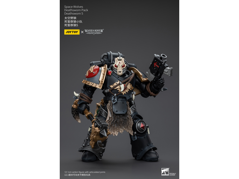 Joy Toy Deathsworn Pack Deathsworn 5 Space Wolves Joy Toy