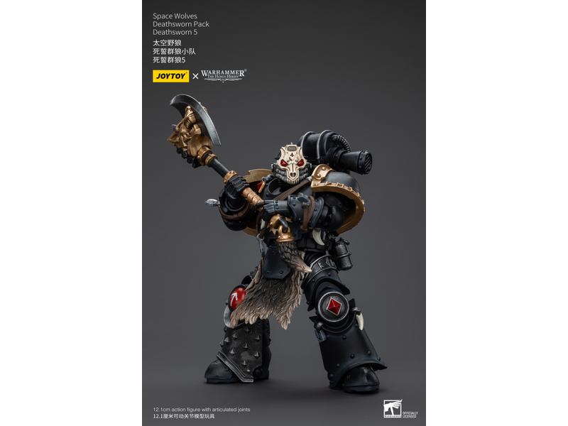 Joy Toy Deathsworn Pack Deathsworn 5 Space Wolves Joy Toy