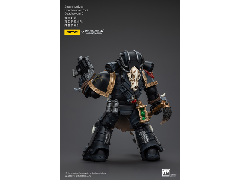 Joy Toy Deathsworn Pack Deathsworn 5 Space Wolves Joy Toy