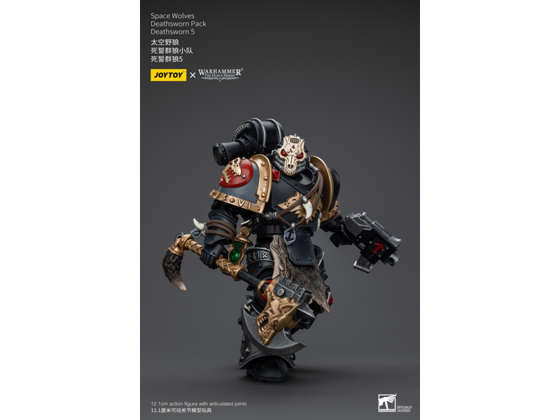 Joy Toy Deathsworn Pack Deathsworn 5 Space Wolves Joy Toy