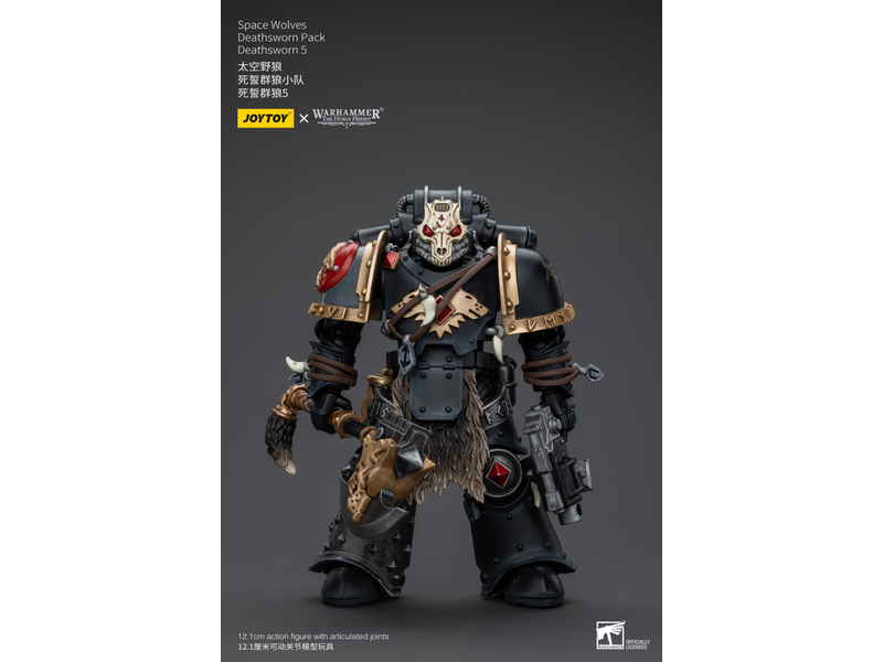 Joy Toy Deathsworn Pack Deathsworn 5 Space Wolves Joy Toy
