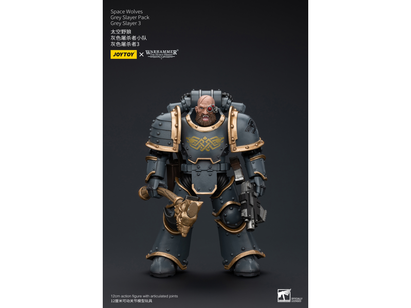 Joy Toy Grey Slayer Pack Grey Slayer3 Space Wolves Joy Toy