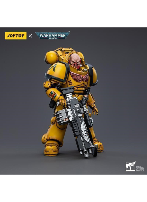 Heavy Intercessor Rogfried Pertanal Imperial Fists Joy Toy