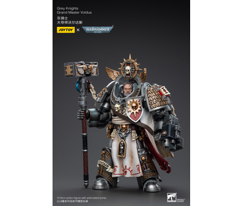 Grand Master Voldus Grey Knights Joy Toy
