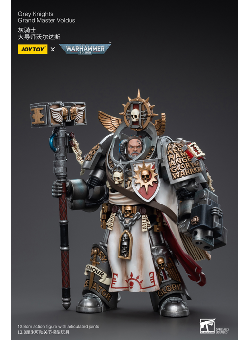 Grand Master Voldus Grey Knights Joy Toy