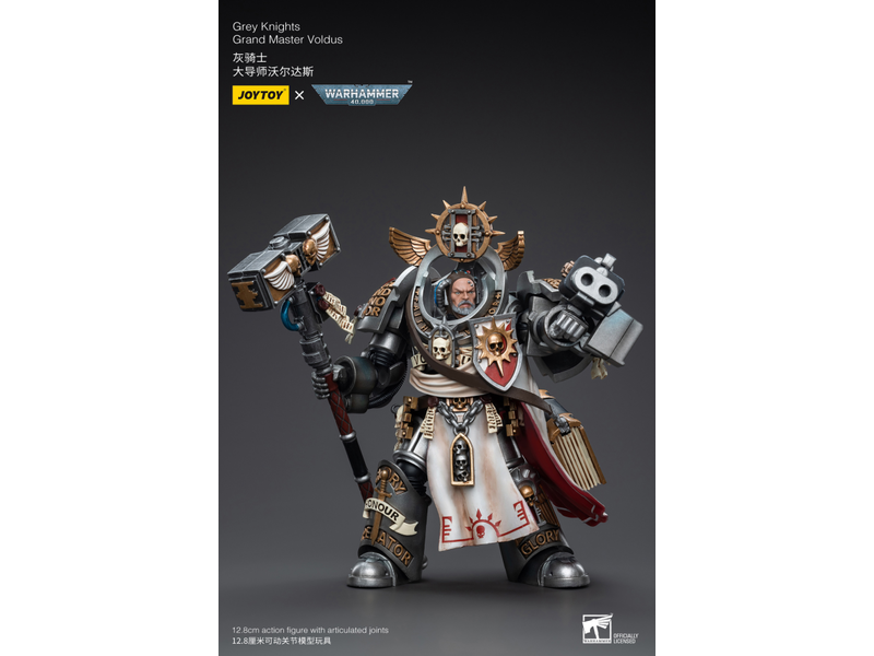 Joy Toy Grand Master Voldus Grey Knights Joy Toy
