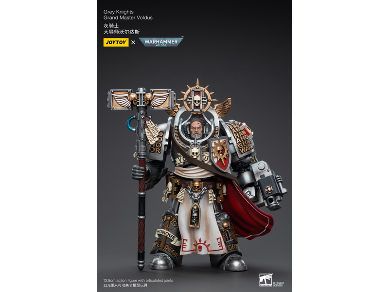 Joy Toy Grand Master Voldus Grey Knights Joy Toy