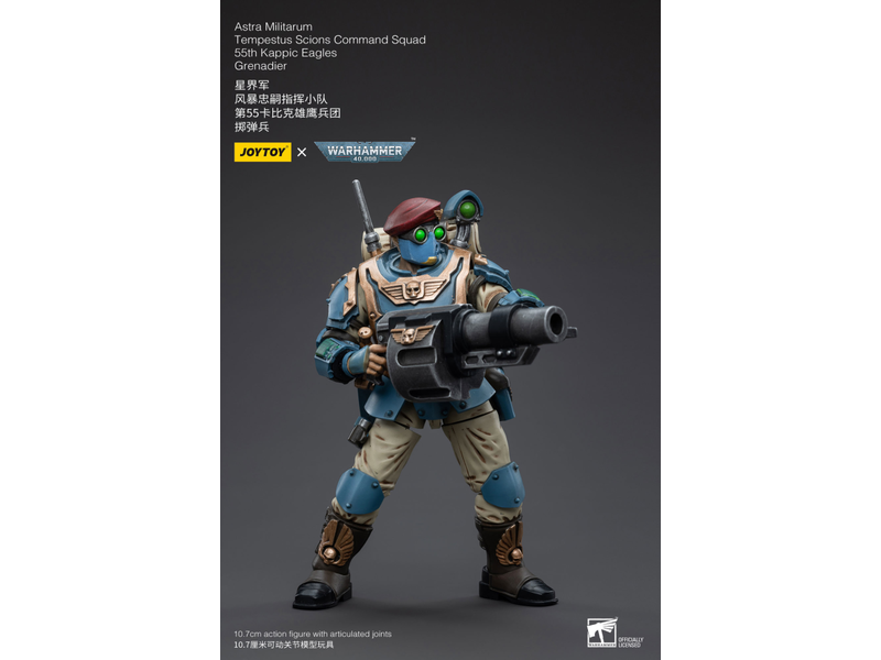 Joy Toy Tempestus Scions Command Squad 55th Kappic Eagles Grenadier Astra Militarum