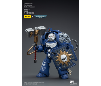 Terminators Brother Acastian Ultramarines Joy Toy