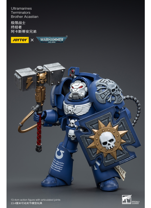 Terminators Brother Acastian Ultramarines Joy Toy