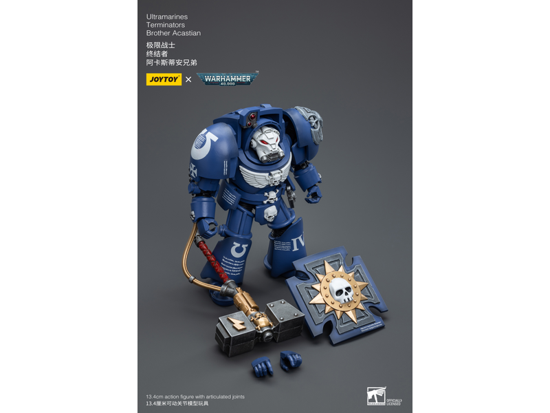 Joy Toy Terminators Brother Acastian Ultramarines Joy Toy