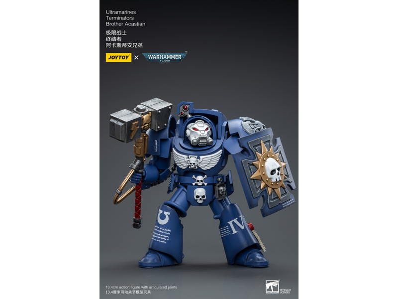 Joy Toy Terminators Brother Acastian Ultramarines Joy Toy