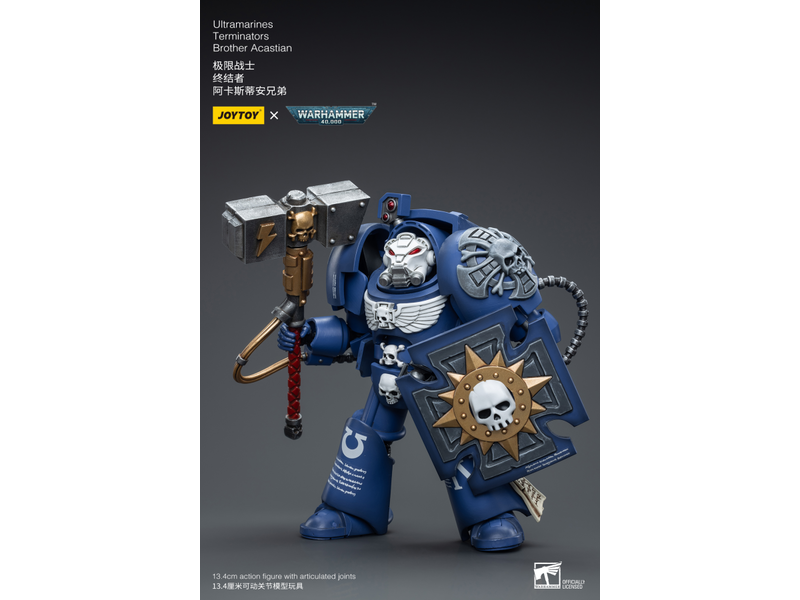 Joy Toy Terminators Brother Acastian Ultramarines Joy Toy