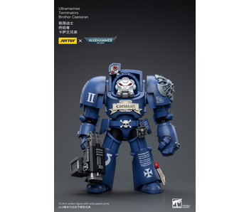 Terminators Brother Caesaran Ultramarines Joy Toy