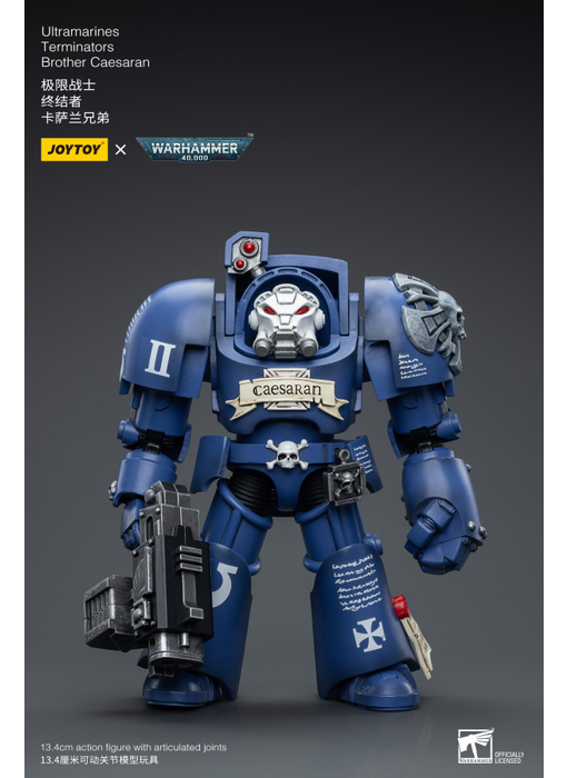 Terminators Brother Caesaran Ultramarines Joy Toy