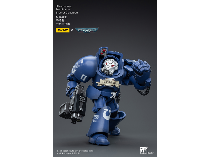 Joy Toy Terminators Brother Caesaran Ultramarines Joy Toy
