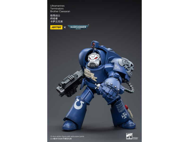 Joy Toy Terminators Brother Caesaran Ultramarines Joy Toy