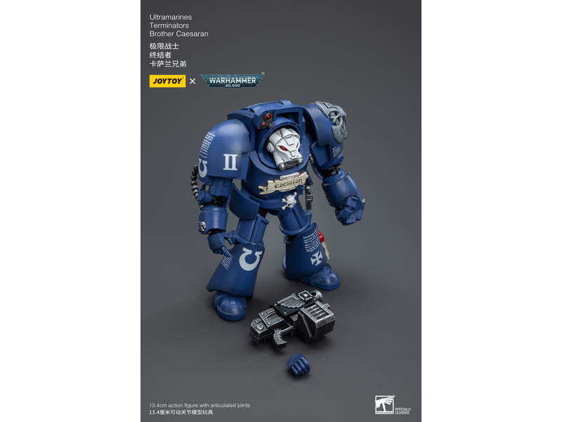 Joy Toy Terminators Brother Caesaran Ultramarines Joy Toy