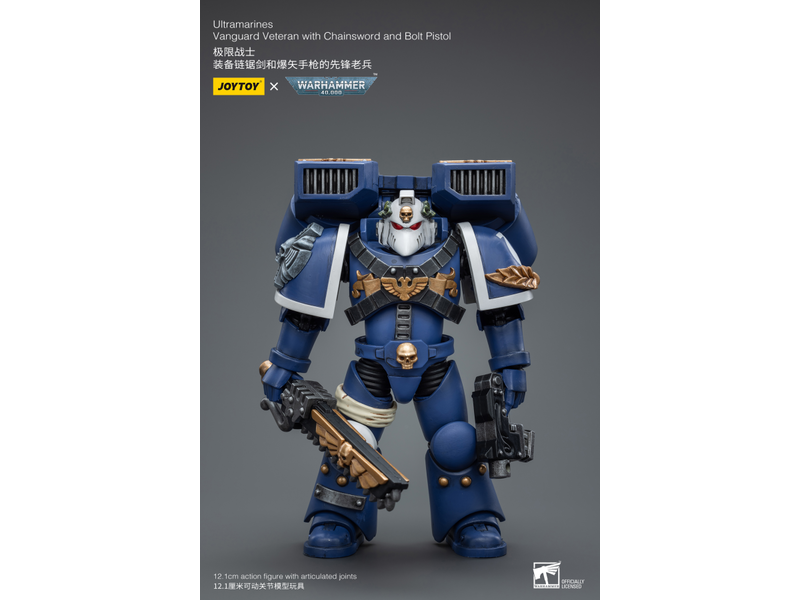 Joy Toy Vanguard Veteran with Chainsword and Bolt Pistol Ultramarines Joy Toy