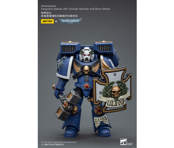 Vanguard Veteran with Thunder Hammer and Storm Shield Ultramarines Joy Toy