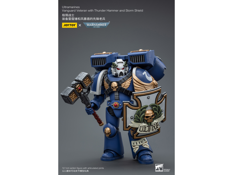 Joy Toy Vanguard Veteran with Thunder Hammer and Storm Shield Ultramarines Joy Toy
