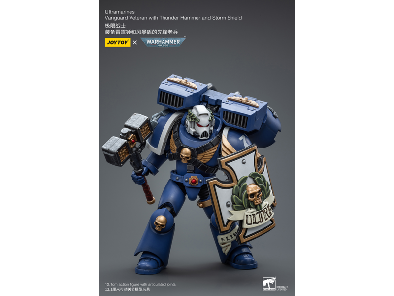 Joy Toy Vanguard Veteran with Thunder Hammer and Storm Shield Ultramarines Joy Toy