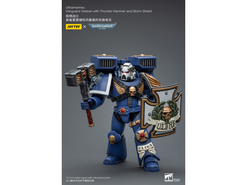Joy Toy Vanguard Veteran with Thunder Hammer and Storm Shield Ultramarines Joy Toy