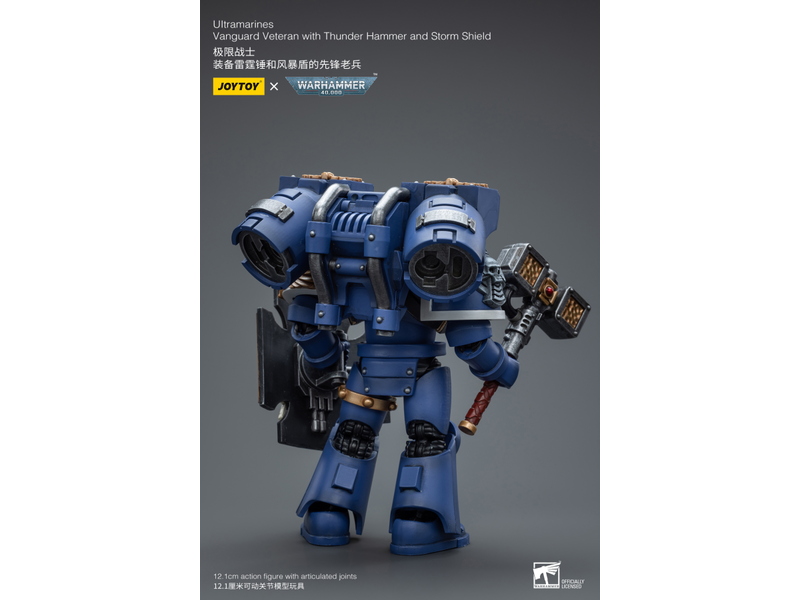 Joy Toy Vanguard Veteran with Thunder Hammer and Storm Shield Ultramarines Joy Toy